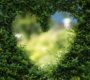 Bodas en el Jardín: Celebrando el Amor en Plena Naturaleza