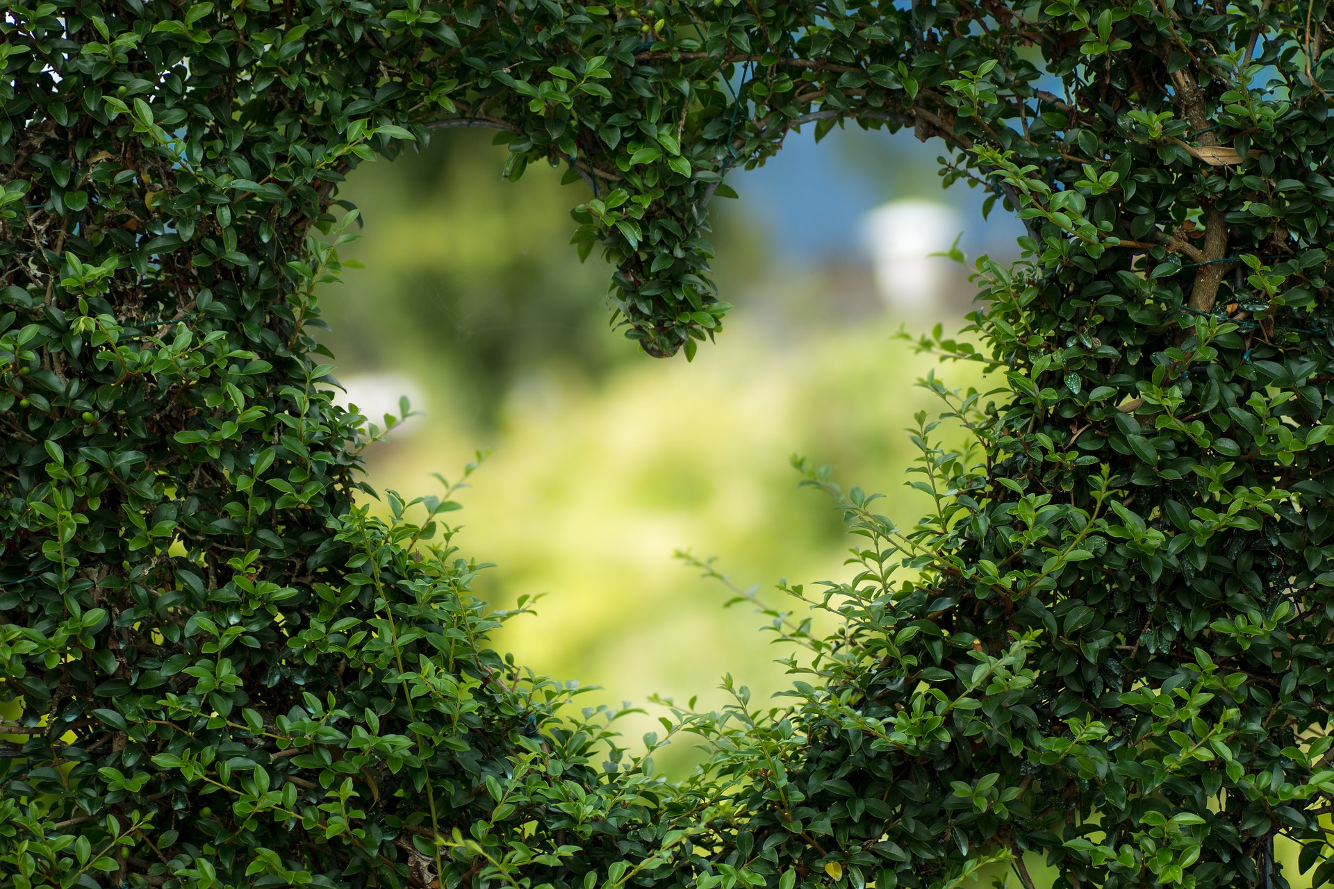 Bodas en el Jardín